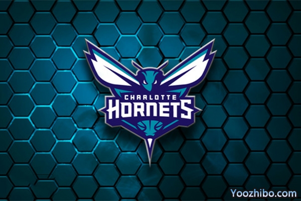 2015-2016赛季<a href=/lanqiusheji/hornets/ target=_blank class=infotextkey>黄蜂</a>队球员名单阵容一览